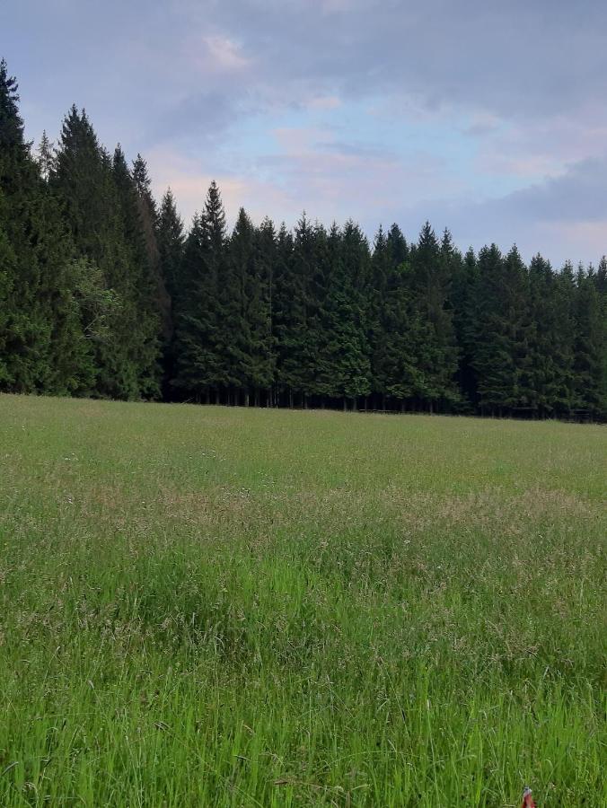 Ferienwohnung "Voelkl" Tännesberg Zewnętrze zdjęcie